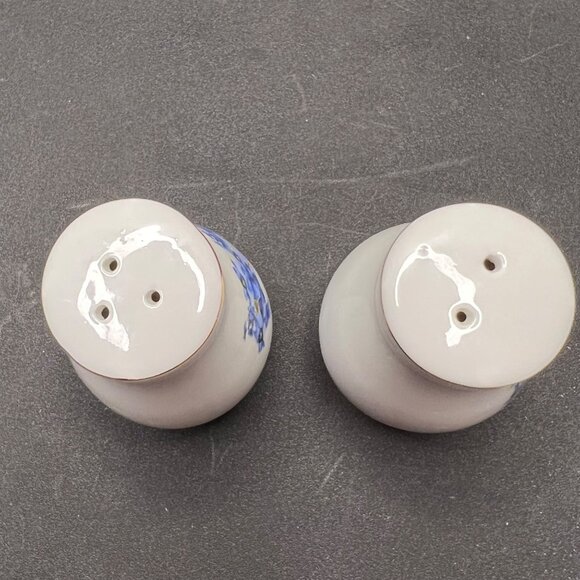 Vintage Alaska State Flower Forget-Me-Not Porcelain Salt & Pepper Shakers - Picture 6 of 10